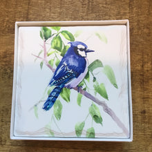 Load image into Gallery viewer, Blue Jay Square Stone Edge Coasters (Set of 4)
