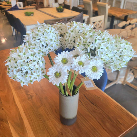 White Allium Large Bloom Stem