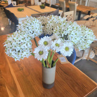 White Allium Large Bloom Stem