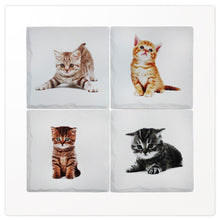 Load image into Gallery viewer, Kitten Coasters (Set of 4)
