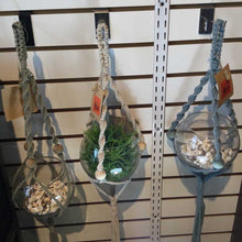 Load image into Gallery viewer, Assorted Hanging Glass Ball Macrame Planter

