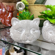 Decorative Ciment Animal Faces with included succulents