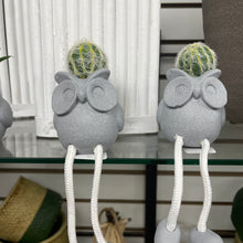 Load image into Gallery viewer, Decorative dangling Feet Animals with included succulents
