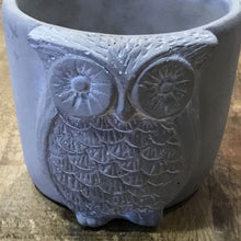 Load image into Gallery viewer, Call of the Wild Owl Planter
