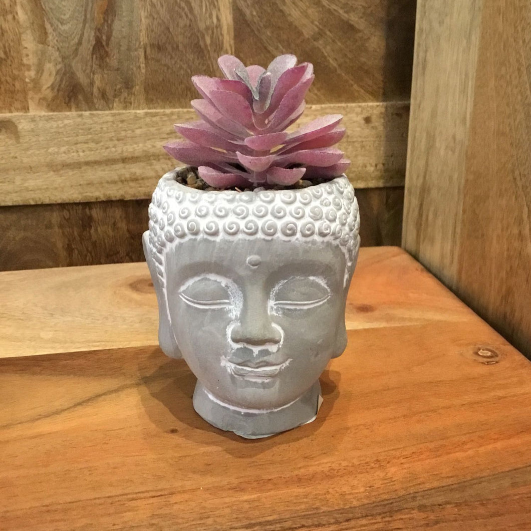 Serene Buddha Face with Pink Succulent