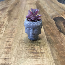 Load image into Gallery viewer, Serene Buddha Face with Pink Succulent
