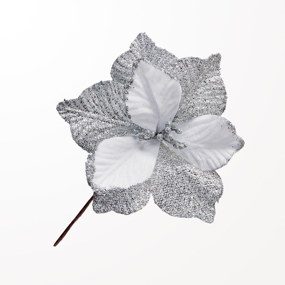 Snowy and Silver Poinsettia Flower