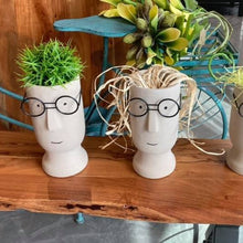 Load image into Gallery viewer, Large Cement Planter of a Face with Glasses
