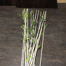 Load image into Gallery viewer, White wash stem with green leaves 80 inches long
