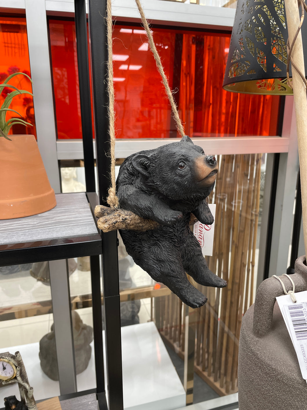 Bear Cub on a Swing
