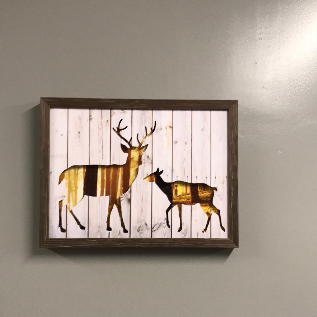 Framed buck and deer
