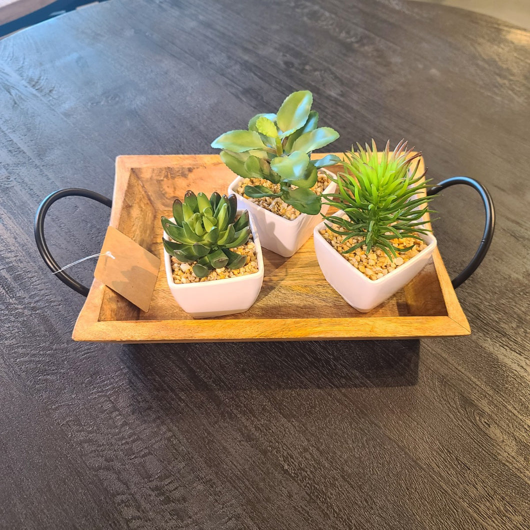 Medium Mango wood Rectangle Tray with metal Handles